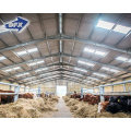 China 10000 Chickens Moderate Price Large Scale Automatic Chicken Broiler House Poultry Farm Design